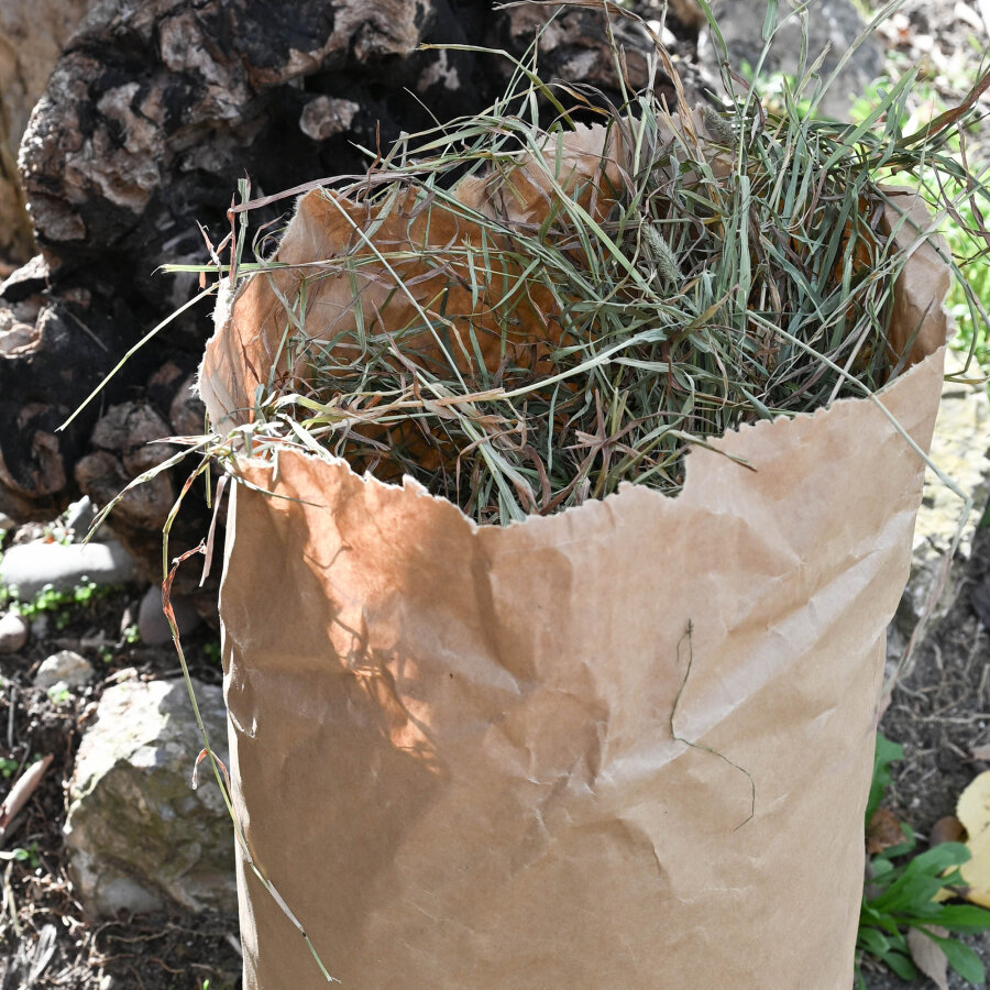 Premium Timothy Heu 1. Schnitt