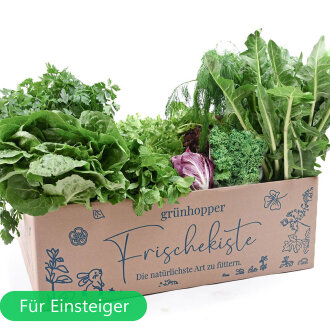 Frischekiste Probierbox 2 kg