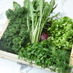 Frischekiste Probierbox 2 kg