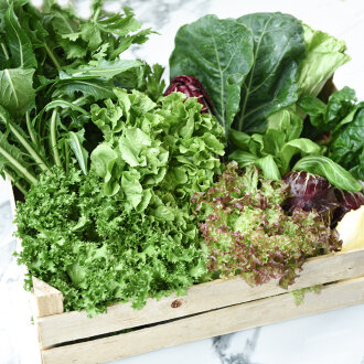 Frischekiste HoppelFit Box