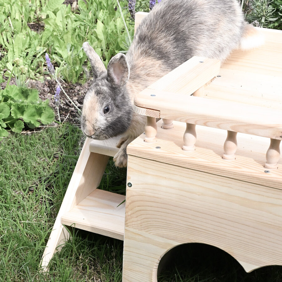 Terrassenhaus "bunny heart" natur