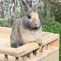 Terrassenhaus "bunny heart" natur