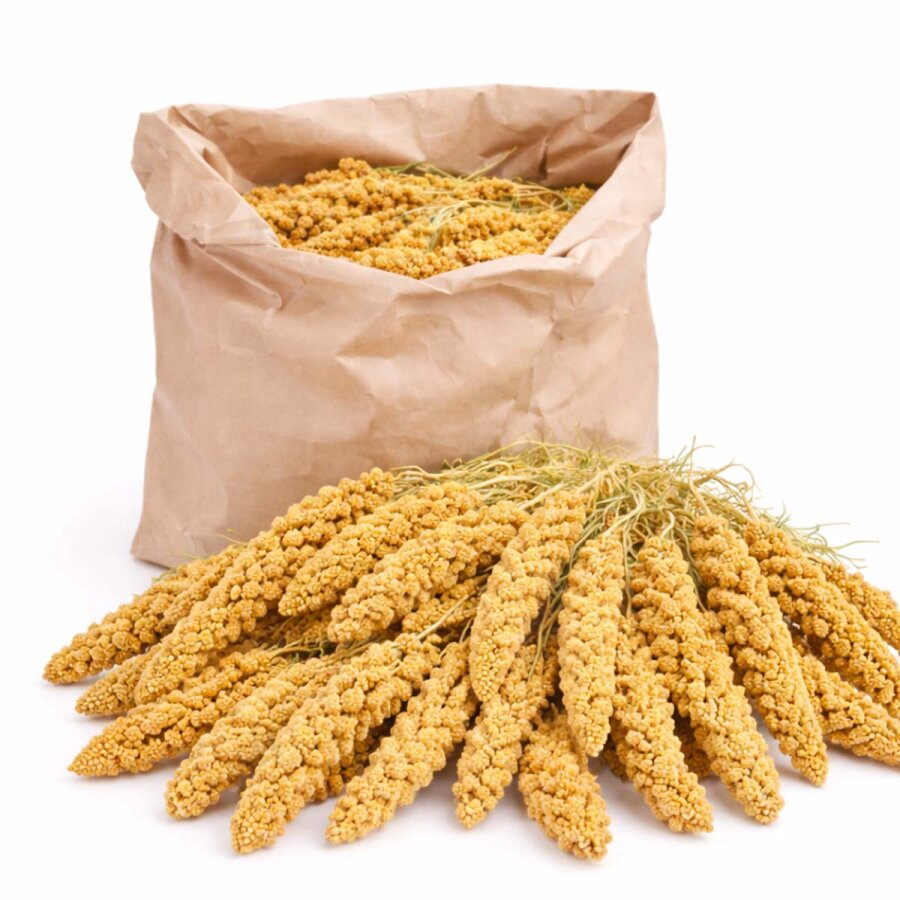 grünhopper Hirseähren 1 kg Maxipack