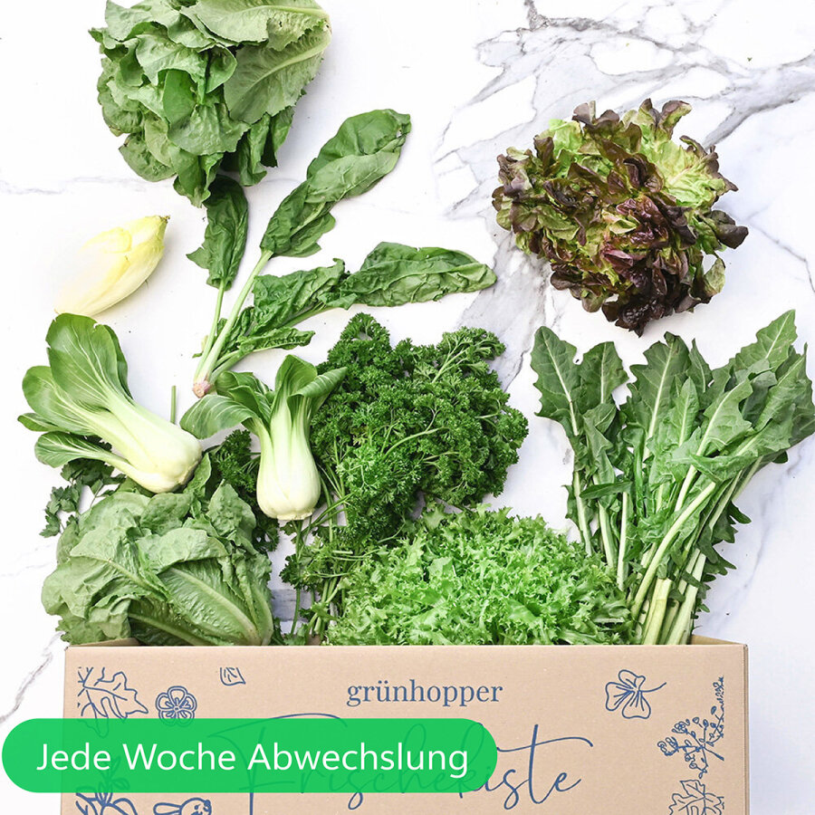 Frischekiste Weekly Bunny Surprise