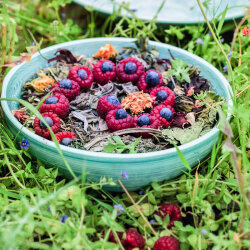 grünhopper dental&allergy