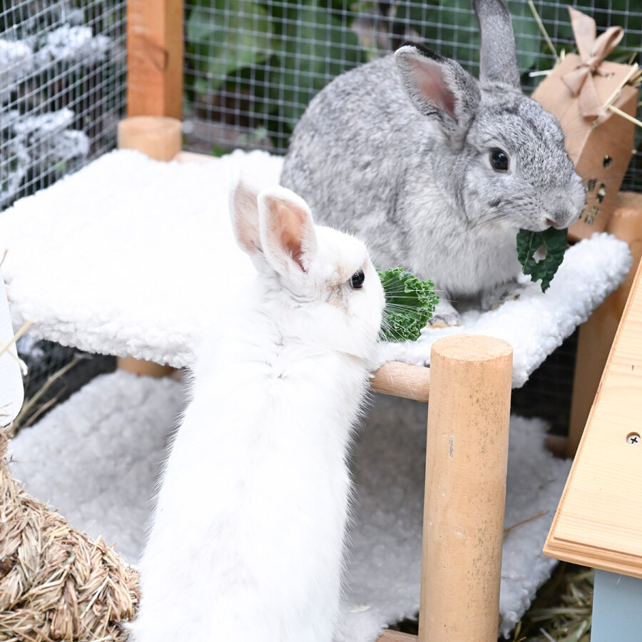 Hammock Ersatzbezug mit Klett teddyflausch S