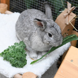 Hammock Ersatzbezug mit Klett teddyflausch S