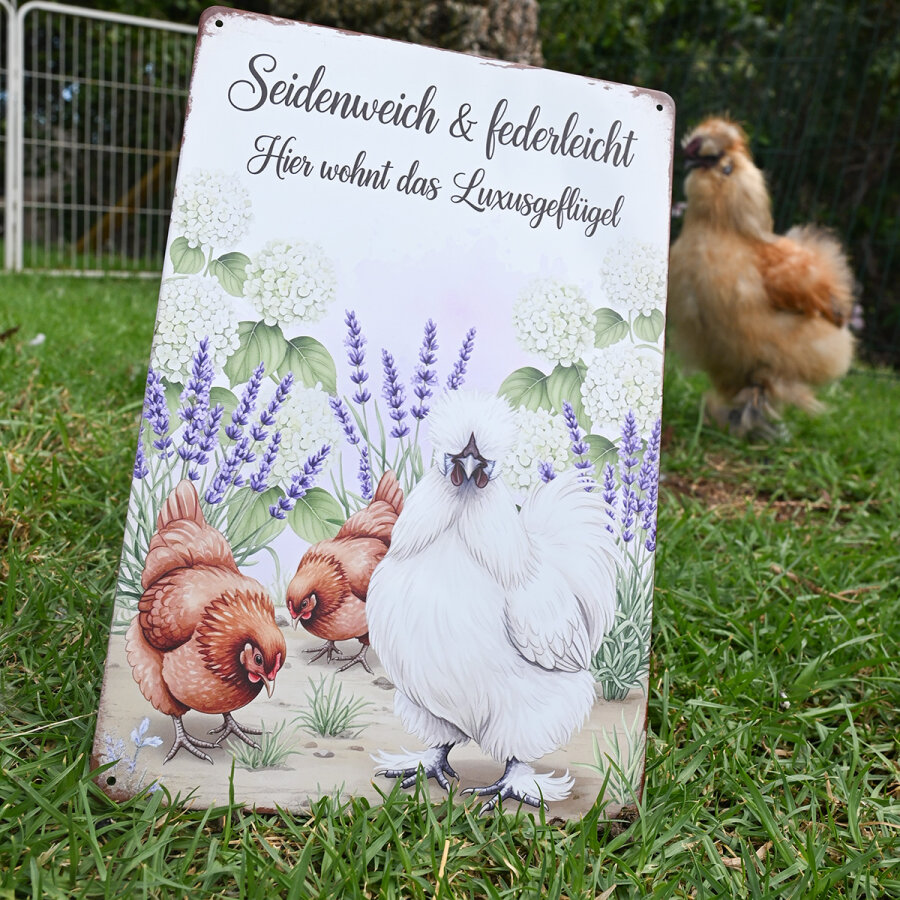 Vintage Schild Vögel