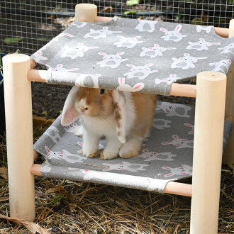 Hammock Doppeldecker