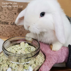 grünhopper Flocons de pois