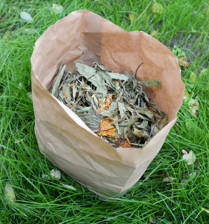 grünhopper Herbes contre le rhume