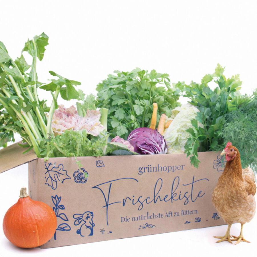 Frischekiste Hühnerbox 8 kg