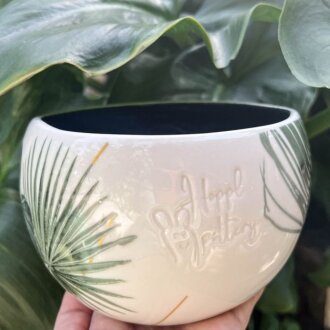 bowl summer palm