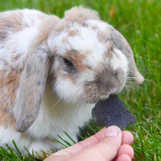 black booster flakes