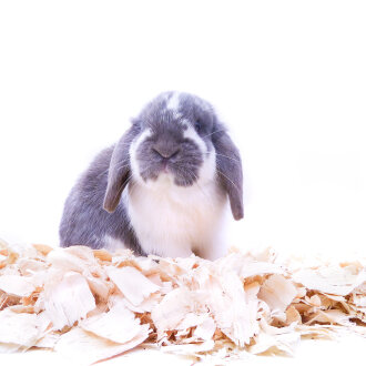 grünhopper Softwoods