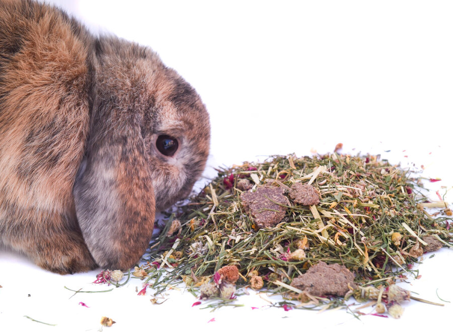 grünhopper digestive