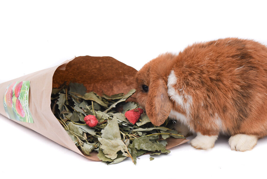 grünhopper strawberry