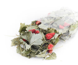 grünhopper strawberry