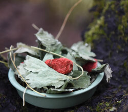 grünhopper strawberry