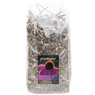 grünhopper Échinacée